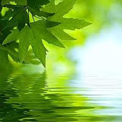 carlow counselling,Depression,Anxiety,Stress, carlow, co kildare,co kilkenny,co wiclow.co laois Depression counselling carlow carlow, co kildare,co kilkenny,co wiclow.co laois